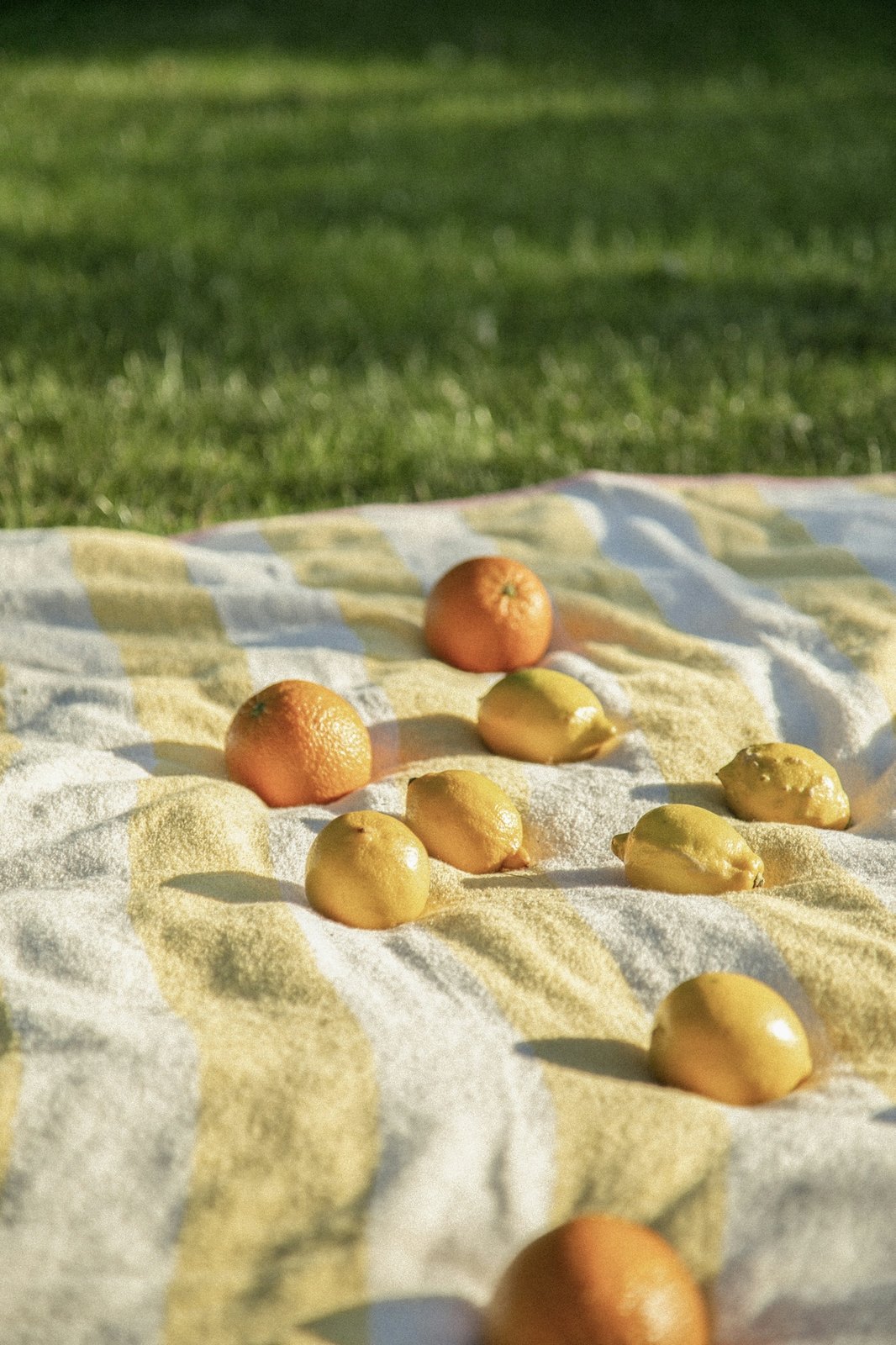 Lemons and oranges on a striped picnic blanket in golden light